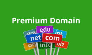 Google hợp tác với Zalo ra mắt thí điểm tính năng Click-to-Zalo