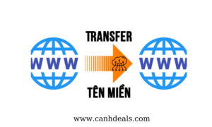 Transfer tên miền là gì?