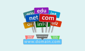 Google hợp tác với Zalo ra mắt thí điểm tính năng Click-to-Zalo