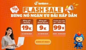 Tên miền chỉ 1K, 9K – Miễn phí .VN .COM.VN, .COM, .NET tại TENTEN