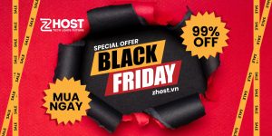Black and Red Simple Black Friday Sale Banner